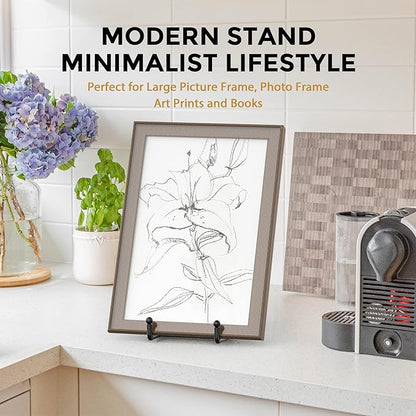 TR-LIFE 10 Inch Large Plate Stands for Display - Metal Plate Holder Display Stand + Picture Frame Holder Stand + Small Easels for Decorative Platter, Book, Plaques, Photo, Tabletop Art (2 Pack)