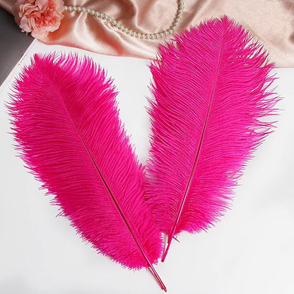 THARAHT Hot Pink Ostrich Feathers 12pcs Large Natural Bulk 20-22Inch 50cm-55cm for Wedding Party Centerpieces Easter Gatsbi and Home Decoration Feathers