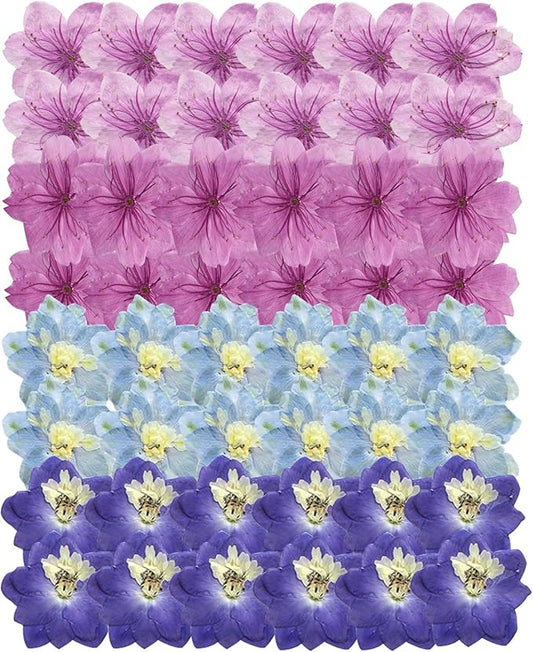 48 Pcs Dried Pressed Flowers for Resin DIY Art Crafts Natural Dry Sakura Larkspur Floral Epoxy Jewelry Real Flower Decor Cakes Phone Cases Candles Handmade Soap