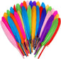 FeelfunFeather 120pcs Mix Colur Goose Cochettes Feather 4-6 inch 10-15cm Bulk Natural for Wedding Party Halloween Decorations DIY Cosplay Gothic Costumes Crafts