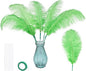 Bulk Grass Green Ostrich Feathers - 12pcs 12-14inch Crafting Supplies for Centerpiece Table Decorations