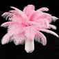 THARAHT Pink Ostrich Feathers 24pcs Natural Bulk 8-10Inch 20cm-25cm for Crafts Wedding Party Centerpieces Flower Arrangement Easter Gatsby and Home Decoration Feathers