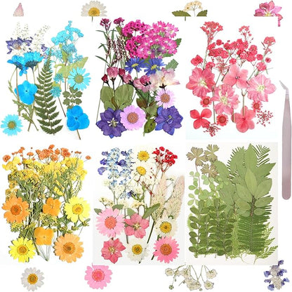 120Pcs Dried Pressed Flowers for Resin Mould Dry Flower Real Leaves Bulk with Tweezers Natural Herbs Kit for Scrapbooking DIY Art Crafts Candle Jewelry Making Nails Floral Decoration(Multicolor)