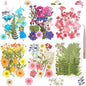 120Pcs Dried Pressed Flowers for Resin Mould Dry Flower Real Leaves Bulk with Tweezers Natural Herbs Kit for Scrapbooking DIY Art Crafts Candle Jewelry Making Nails Floral Decoration(Multicolor)