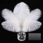 SOGUGOM White Craft Ostrich Feathers - 30PCS 6-8 inch Ostrich Feathers Kit for Centerpieces, Kindergarten Crafts, Hats and DIY Projects(White)