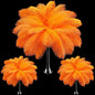 Maitys 90 Pcs Large Natural Ostrich Feathers Bulk 14-16 Inch (35-40cm) 12-14 Inch (30-35cm) 10-12 Inch (25-30cm) Ostrich Feathers Plumes for Centerpieces Wedding(Orange)