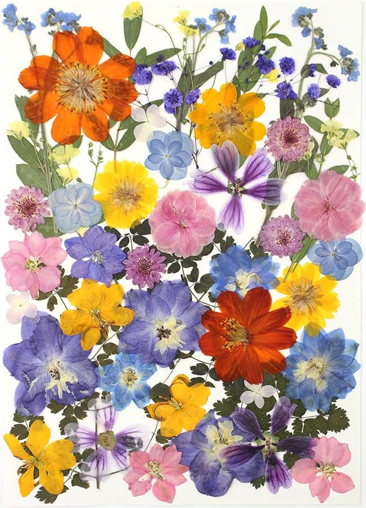 17 Types Retro Dried Pressed Flowers Leaf Plant Herbarium for DIY Resin Jewelry Making Floral Decors(Muti Color)