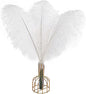 THARAHT 12pcs White Ostrich Feathers Natural Bulk 14-16Inch 35cm-40cm for Wedding Party Centerpieces Easter Gatsby and Home Decorate Ostrich Feathers