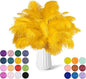 NEWONG 30pcs Gold Ostrich Feathers Natural Bulk 11-14inch(28-35cm) Vase Craft Wedding Home Party Centerpieces Christmas Day Decoration