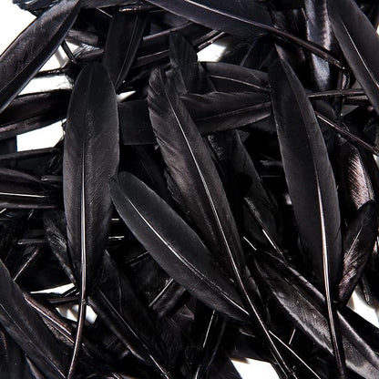 FeelfunFeather 120pcs Black Goose Cochettes Feather Natural Bulk 4-6 inch 10-15cm for Wedding Party Christmas Halloween Decorations DIY Crafts