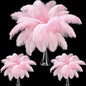 Maitys 90 Pcs Large Natural Ostrich Feathers Bulk 14-16 Inch (35-40cm) 12-14 Inch (30-35cm) 10-12 Inch (25-30cm) Ostrich Feathers Plumes for Centerpieces Wedding(Pink)