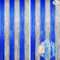 Silver and Blue Tinsel Backdrop Foil Fringe Curtains, 2Pack Birthday Door Decorations Photo Backdrop, Party Streamers Supplies for Bachelorette, Graduation, Christmas, Disco Decor New Year Decorations