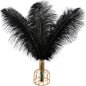 THARAHT Black Ostrich Feathers 12pcs Large Natural Bulk 12-14Inch 30cm-35cm for Wedding Party Centerpieces Halloween and Home Decoration Feathers