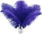 Ballinger Royal Blue Long Ostrich Feathers - 12Pcs 14-16inch Large Feathers for Tall Vase,Wedding Party Centerpieces and Holiday Home Decor