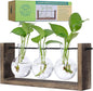 Garden Republic Plant Propagation Station, Wooden Stand with Propagation Tubes, Hanging Plant Glass Tubes Station, Elegant Home Decor, Easy Water Changes, Bamboo Color