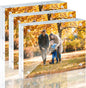 3 Pack 6x8 Acrylic Picture Frames - 20% Thicker Double Sided Magnetic Frame with UV Protection - Freestanding Clear Frameless Display for Tabletops - Modern Photo Frame Set for Home & Office Decor