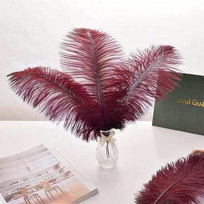 Ballinger Burgundy Large Ostrich Feathers - 12Pcs 14-16inch Large Wine Red Feathers for Vase, Wedding Party Centerpieces and Halloween Home Decor