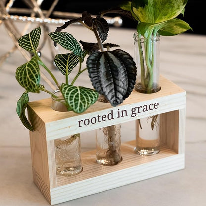 Rooted in Grace: Plant Propagation Stations: Plant Cutting Holder w/ 3 Glass Propagation Vases, Unique & Encouraging Christian Gifts for Women, Faith-Inspired Home Decor