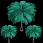 Maitys 90 Pcs Large Natural Ostrich Feathers Bulk 14-16 Inch (35-40cm) 12-14 Inch (30-35cm) 10-12 Inch (25-30cm) Ostrich Feathers Plumes for Centerpieces Wedding (Blackish Green)