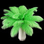 THARAHT Green Ostrich Feathers 24pcs Natural Bulk 8-10Inch 20cm-25cm for Crafts Wedding Party Centerpieces Mardi Gras and Home Decoration Feathers