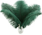 Ballinger Green Long Ostrich Feathers - 12Pcs 14-16inch Large Feathers for Tall Vase,Wedding Party Centerpieces and Holiday Home Decor