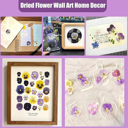 64 Pcs Dried Pressed Viola Flowers, 8 Color Gradient Purple Blue Yellow White, for Resin DIY Art Jewelry Candle & Soap Making with Tweezers Included