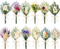 12/24 PCS Charming Dried Flowers Bouquet for Vase Various Dried Wildflowers with Stems Mini Handmade Wildflowers Natural Real Flowers Bulk Flowers Craft (White Series, 12 PCS)