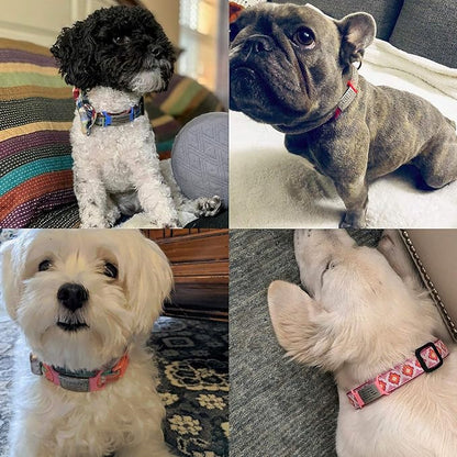 Personalized and Custom Dog Tag for Pets - No Noise - Engraved Name Tag - Slide On ID Tags and Collar Tags for Small, Medium, Large Dogs and Cats - Silent Customized