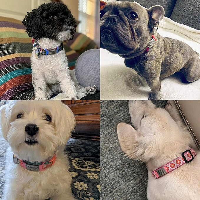 Personalized Dog Name Tag - No Noise - Engraved & Slide On - Custom Collar Tags for Small, Medium, Large Dogs & Cats