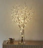 LITBLOOM Lighted Brown Willow Branches 32IN 100 LED with Timer Battery Operated, Tree Branch with Warm White Lights for Holiday Christmas Decoration Indoor Outdoor Use