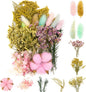 Vignee Real Dried Pressed Leaf Flowers-Multiple Colorful Pressed Flowers Daisies for Craft Resin Jewelry Making Art Craft DIY and Soap Candle Scrapbooking DIY Resin（Pink）