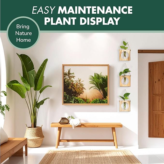 · GARDEN REPUBLIC · Propagation Stations Set of 2 - Propagation Vases for Plants - Hanging Wooden Wall Planter and Glass Test Tubes - Indoor Plant Holder, Hydroponic Decor