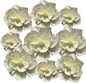 BRT Bearingshui Crepe Paper Flowers Decoration for Wall Total 9 Pcs, Artificial Flowers for Wedding Decor,Flower Backdrop Decor, Baby Bridal Shower Birthday Party, Cream 3D Wall Flowers Decor