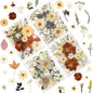 100P Vintage White Dried Flowers for Crafts, Real Natural Pressed Flowers in Retro White Tones for Resin Art, DIY Crafts, Jewelry & Candle Decor – Tweezers Included