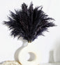 Black Pampas Grass for Home Decor - Elegant Boho Decor - Premium Quality Pampas Grass Stems - Perfect for House, Nursery, Western, Wedding, Table, and Bohemian Decor (20PCS)