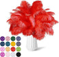 NEWONG 30pcs Red Ostrich Feathers Natural Bulk 9-12inch(23-30cm) Vase Craft Wedding Home Party Centerpieces Christmas Day Decoration