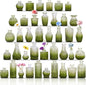 Set of 40 Glass Bud Vases, Small Green Glass Vases in Bulk, Mini Vintage Embossed Flower Vase for Wedding, Centerpieces, Birthday Party, Baby Shower, Home Table Decorations (Green)