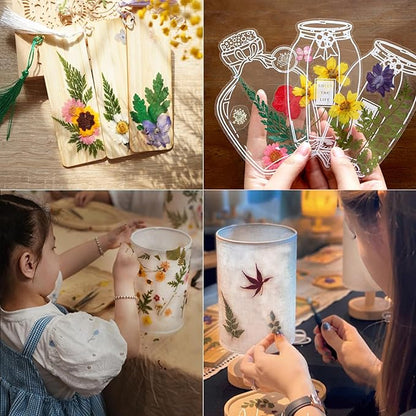 48 Pcs Dried Pressed Flowers Leaves Ferns for Crafts Art Resin DIY Natural Dry Green Leaf Epoxy Jewelry Real Rose Flower Decor Cakes Phone Cases Bookmarks Candles Handmade Soap Ferns