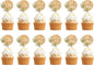 12 PCS Wedding Cupcake Toppers Green Mr & Mrs Wedding Cake Cupcake Decorations in Wood