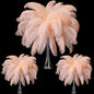 Maitys 90 Pcs Large Natural Ostrich Feathers Bulk 14-16 Inch (35-40cm) 12-14 Inch (30-35cm) 10-12 Inch (25-30cm) Ostrich Feathers Plumes for Centerpieces Wedding(Champagne)