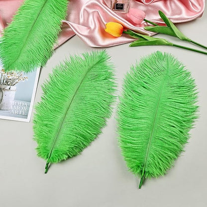 THARAHT Green Ostrich Feathers 12pcs Natural Bulk 8-10Inch 20cm-25cm for Crafts Wedding Party Centerpieces Mardi Gras and Home Decoration Feathers