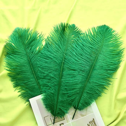 Ballinger Large Green Ostrich Feathers - 24pcs 12-14inch Long Feathers for Vase, Wedding Party Centerpieces Mardi Gras Decorations and Home Decor…