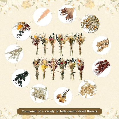 Layhit 12 Pack Boho Dried Flower Bouquet Mini Wedding Handmade Dry Flowers Decor for Vase Crafts DIY Photo Boutonniere for Men Floral Plant for Bridesmaid Gift Birthday Decor