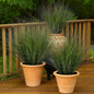 48PCS Fake Plants Artificial Wheat Grass Greenery Plastic Plants Fake Grass Artificial Plants for Outdoor Decor Artificial Grass Plant with Greenery Stems for Indoor Home Decoration 26.4"
