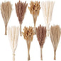 200PCS Dried Flower Bouquet – Pampas Grass, Floral Decor for Home, Wedding, and Boho Style | Perfect for Vases, Fall, Spring, Summer, and Winter Arrangements