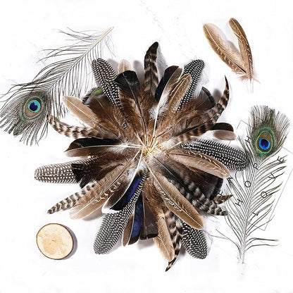 Holmgren 48pcs Natural Feathers Bulk - 6 Styles Assorted Peacock, Pheasant, Turkey Feathers for Craft DIY Jewelry Hat Wedding Home Party Decoration
